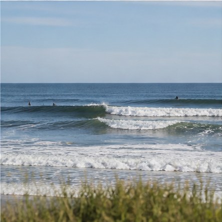 Shadmoor State Park in Montauk